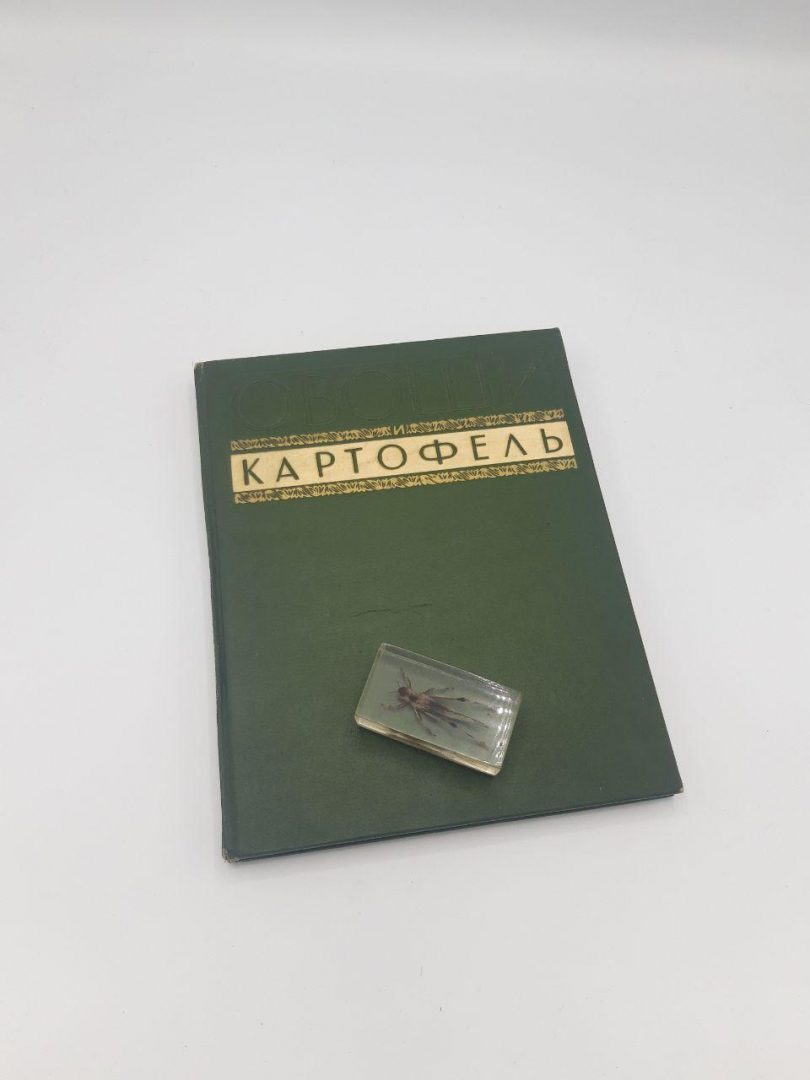 Овощи и картофель. ВСХВ. Подарочный альбом. 1940 год