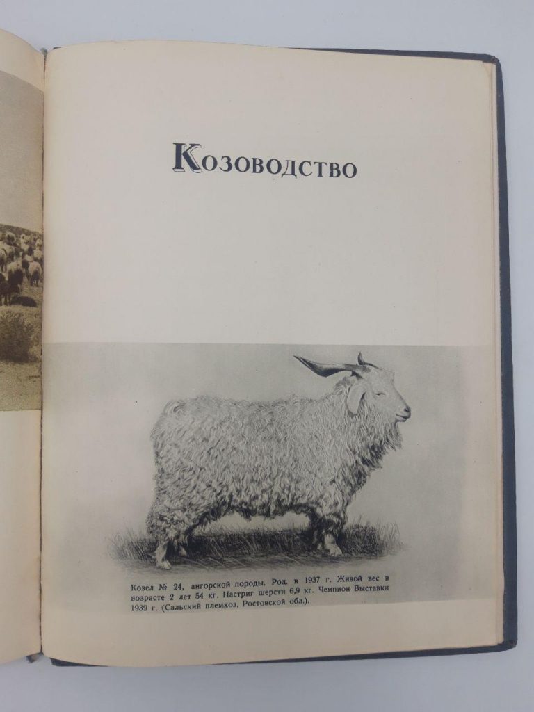 козоводство на всхв 1939 год, антикварная книга