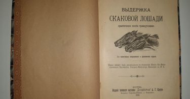 Выдержка скаковой лошади