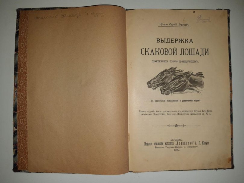 Выдержка скаковой лошади