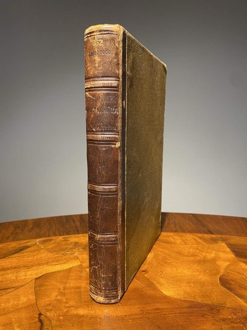 Женщина преступница и проститутка. 1897 год