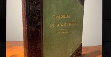 Многолетники, Макс Гесдерфер, 1901 рік