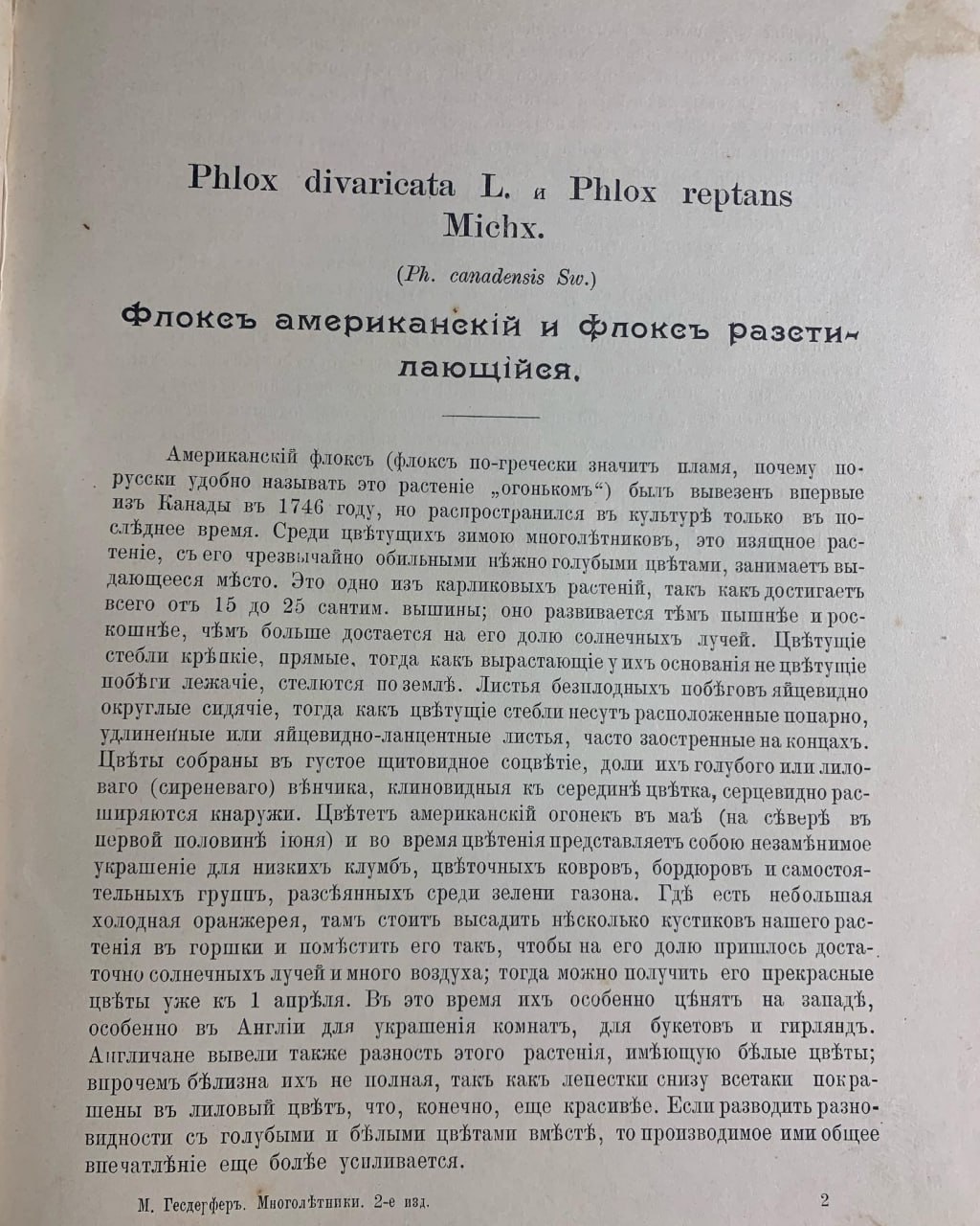 Антикварная книга, цветы, Макс Гесдерфер, 1901 рік