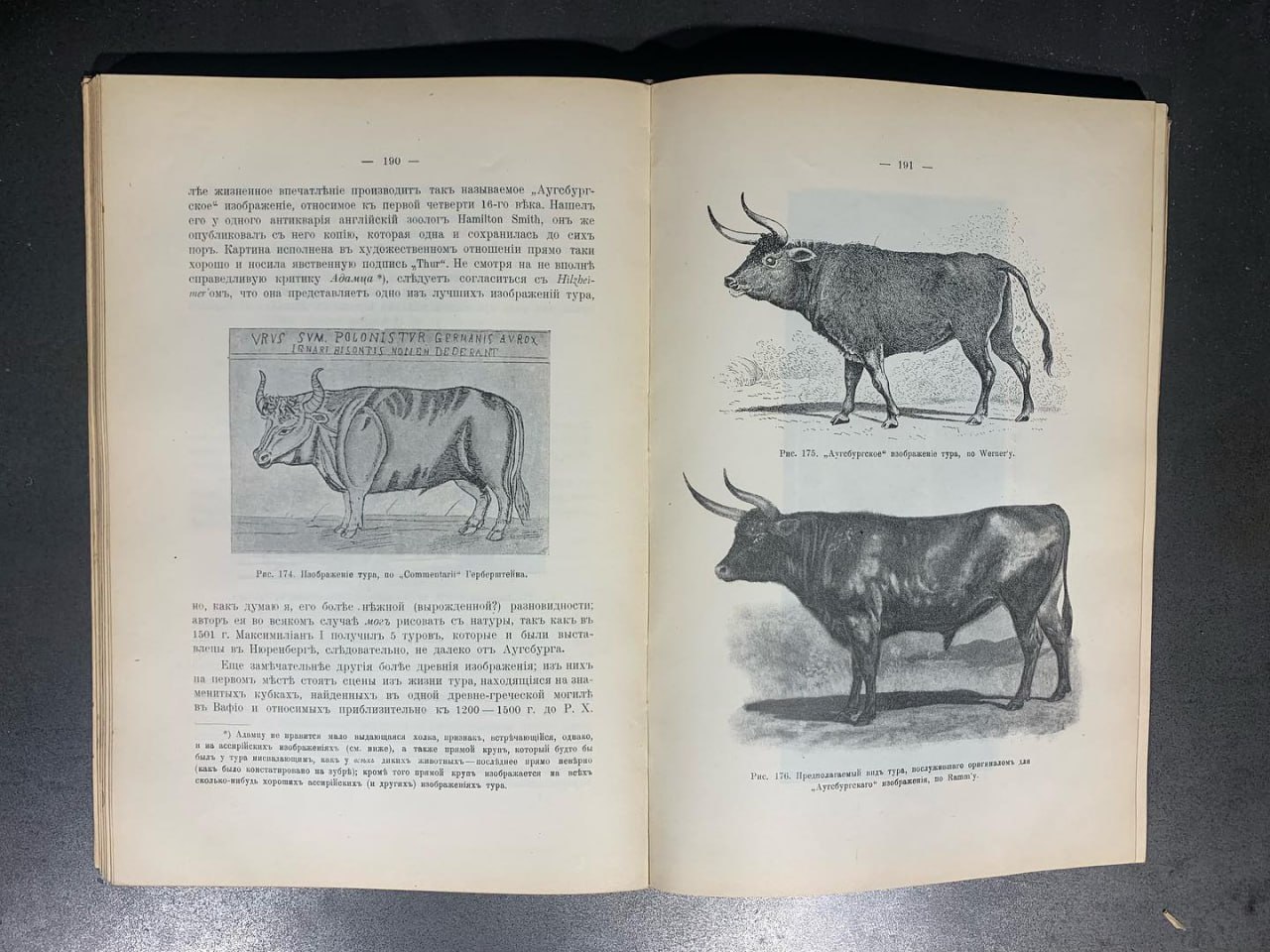 Происхожденіе домашних животных, Богданов Е.А., 1913