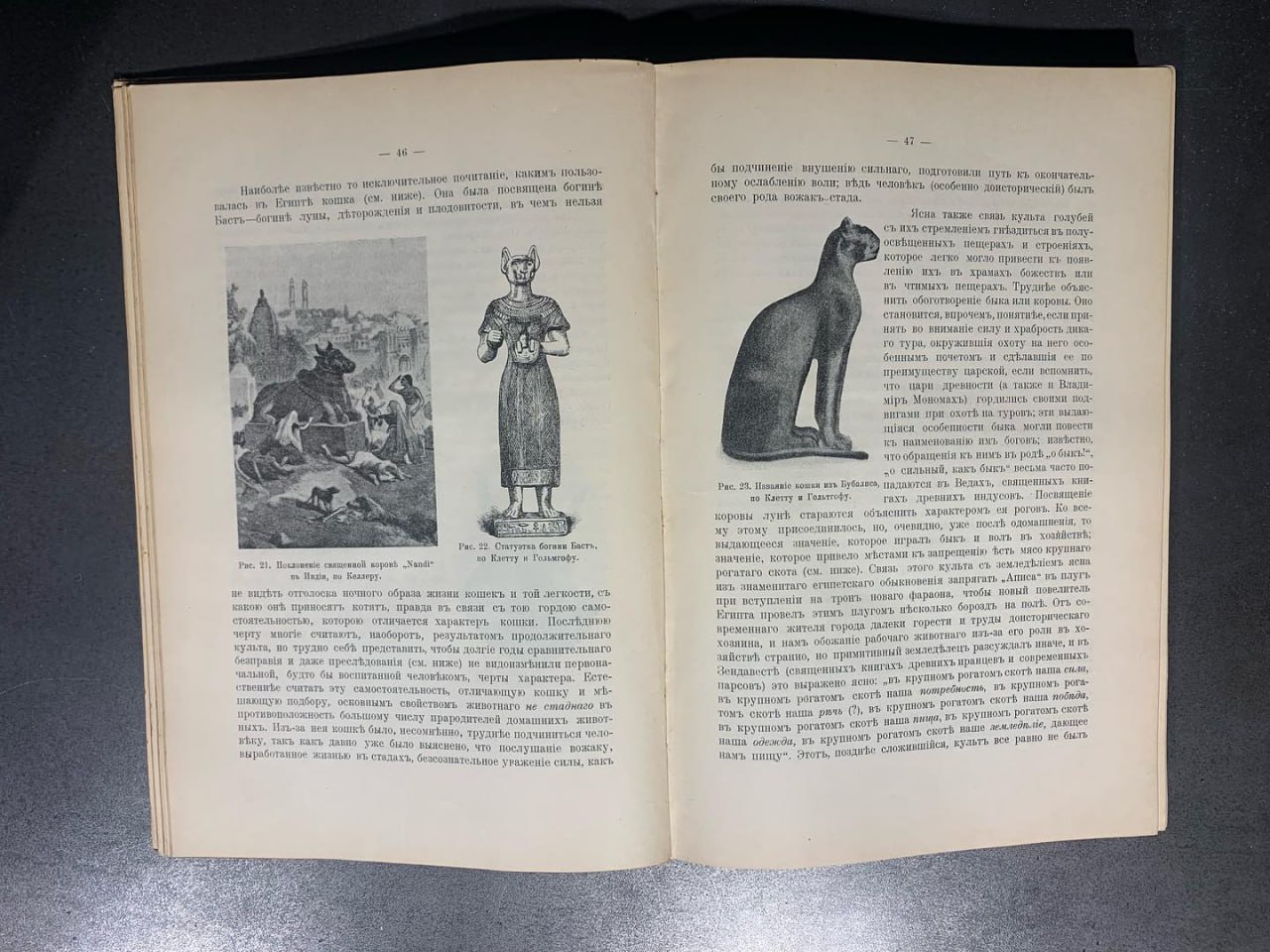 Происхожденіе домашних животных, Богданов Е.А., 1913