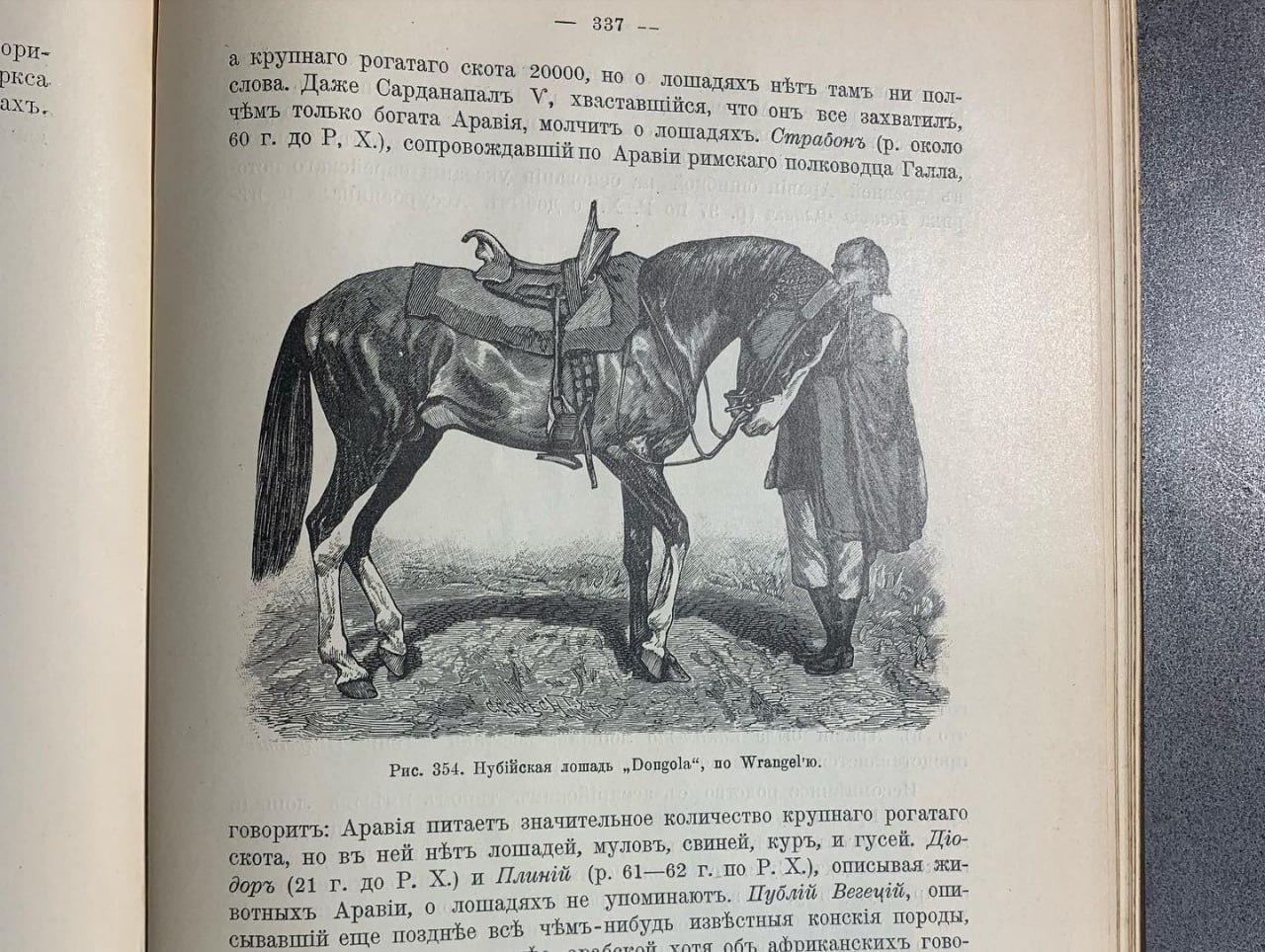 Происхожденіе домашних животных, Богданов Е.А., 1913