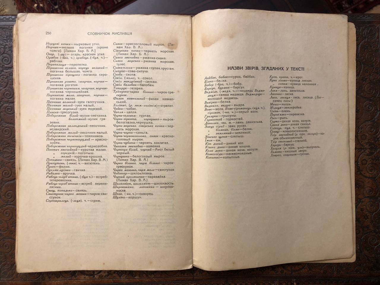 Мисливство, порадник українського мисливця, Віктор Аверін, 1927
