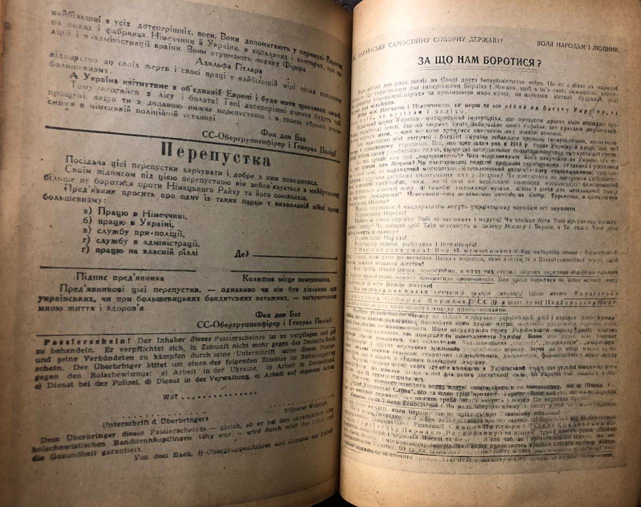 УПА, Українська Повстанська Армія, М. Лебедь, 1946
