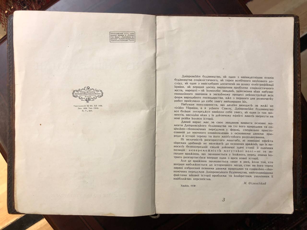 На Дніпрельстан, М. Філянський, 1930