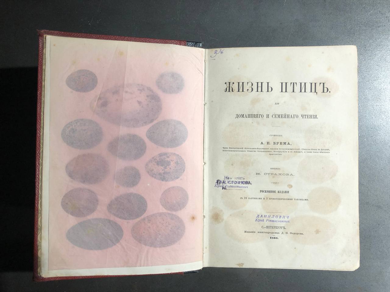 Жизнь птиц, А.Е. Брем, 1866