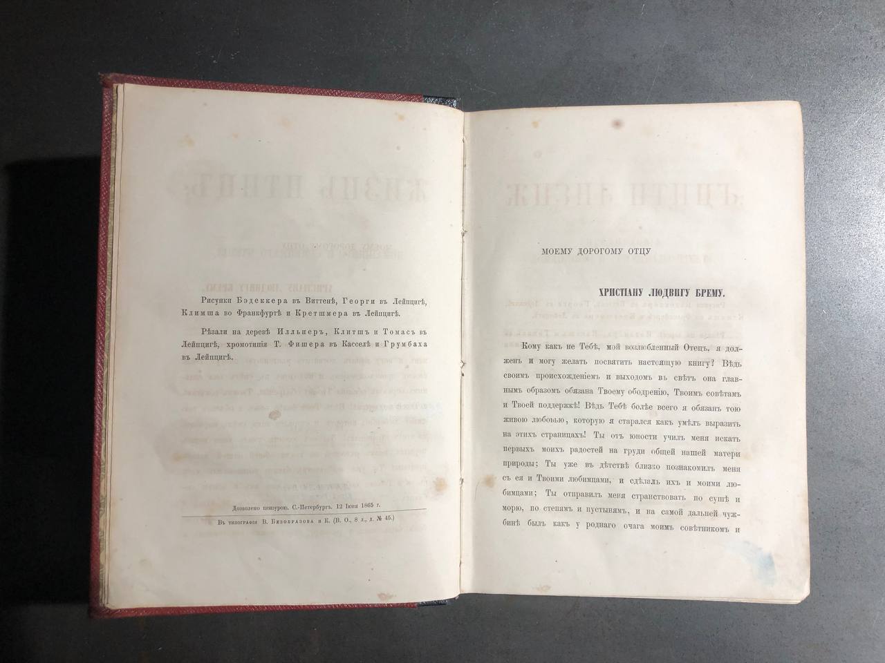Жизнь птиц, А.Е. Брем, 1866