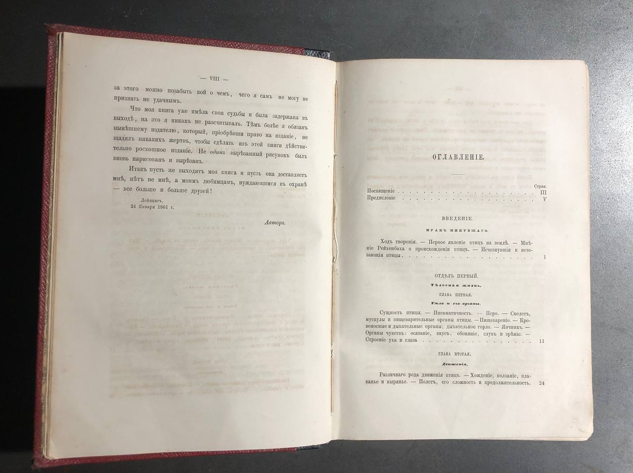 Жизнь птиц, А.Е. Брем, 1866