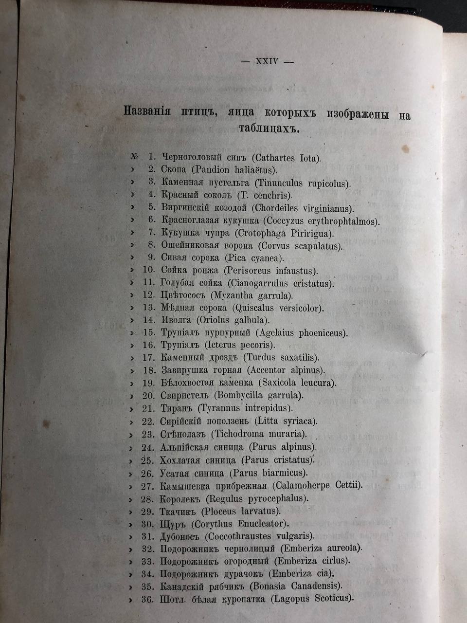 Жизнь птиц, А.Е. Брем, 1866