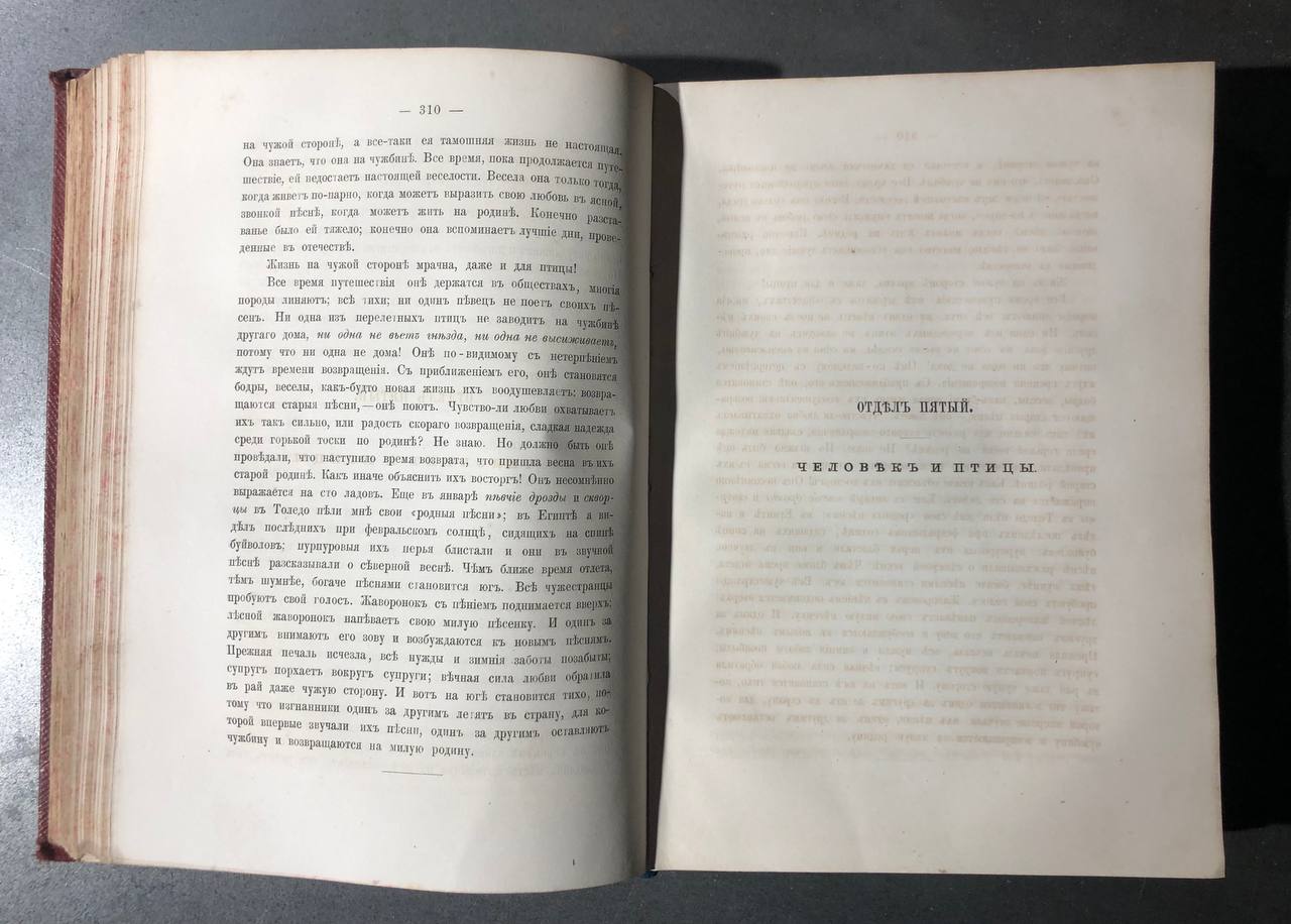 орнитологические очерки антикварная книга 1866 год