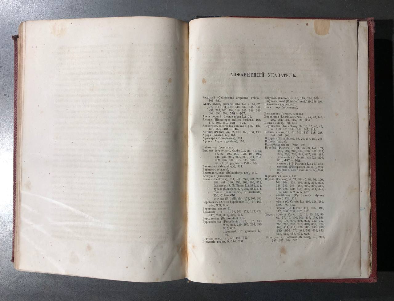 Книга о птицах А. Брем, 1866