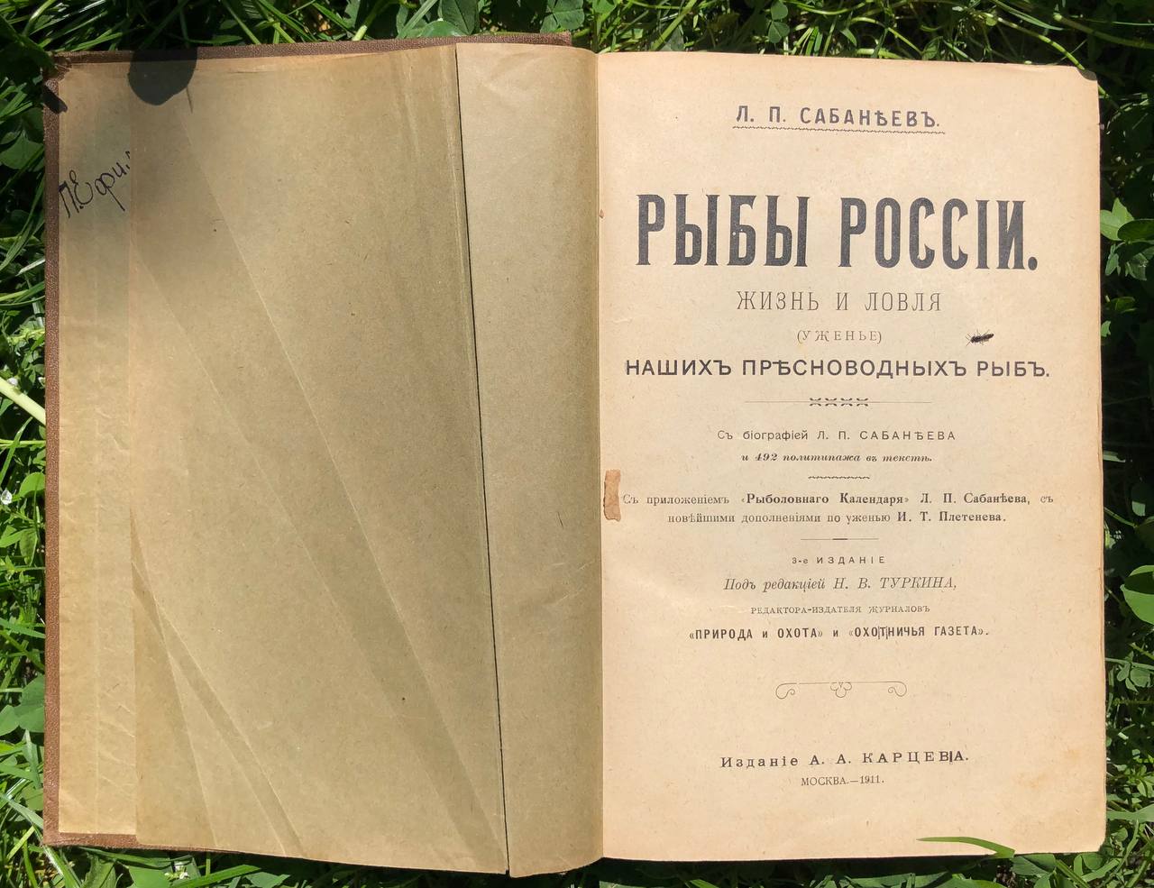 Рыбы России, Л. П. Сабанеев, 1911