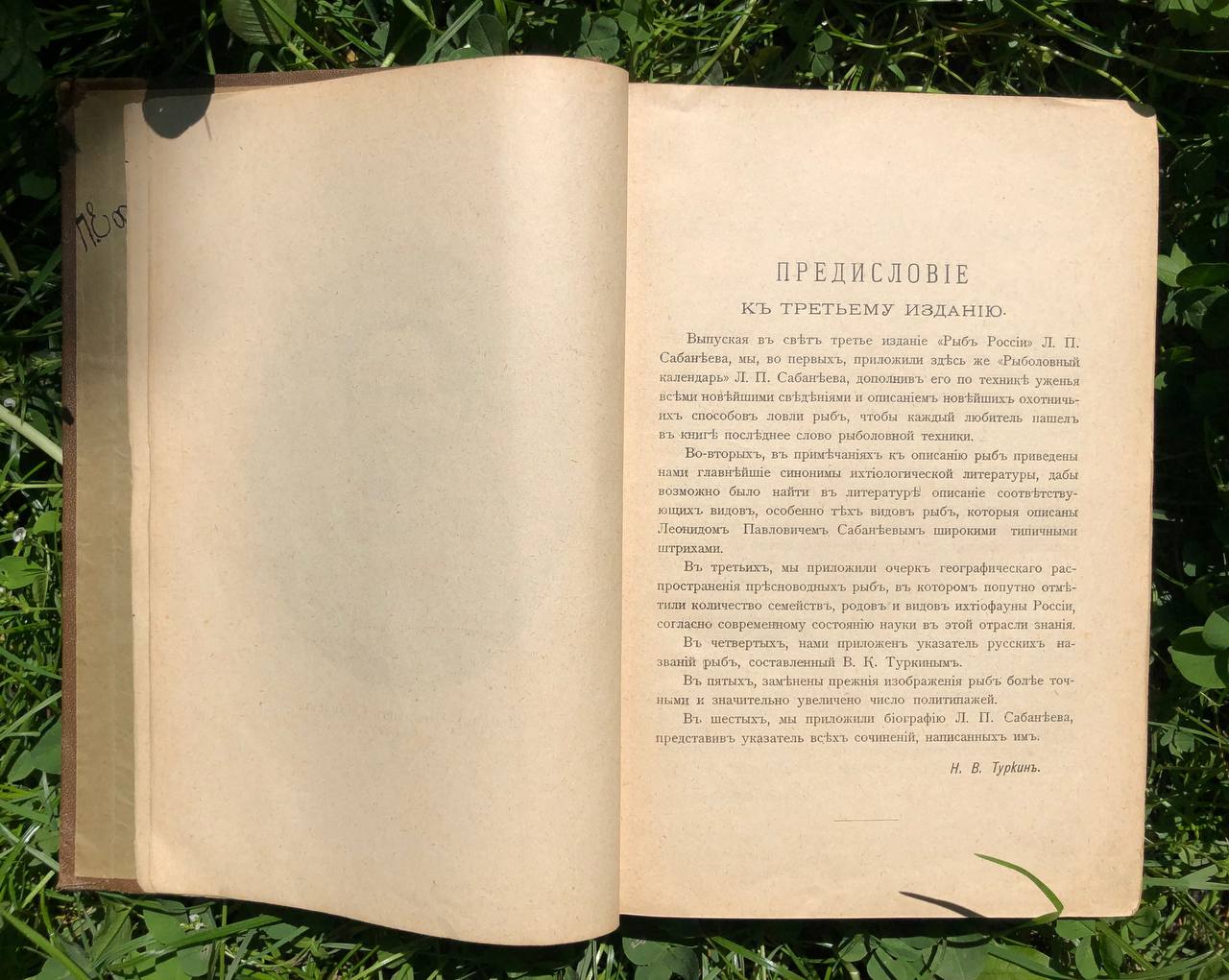 Рыбы России, Л. П. Сабанеев, 1911
