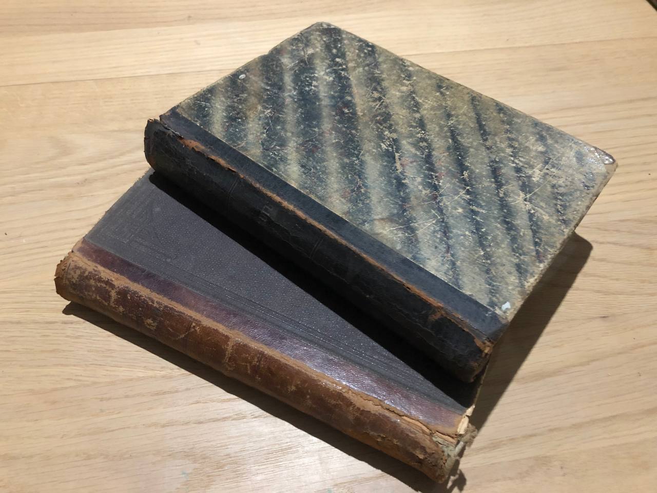 Дон-Кихот Ламанчский, у 2 томах, 1881