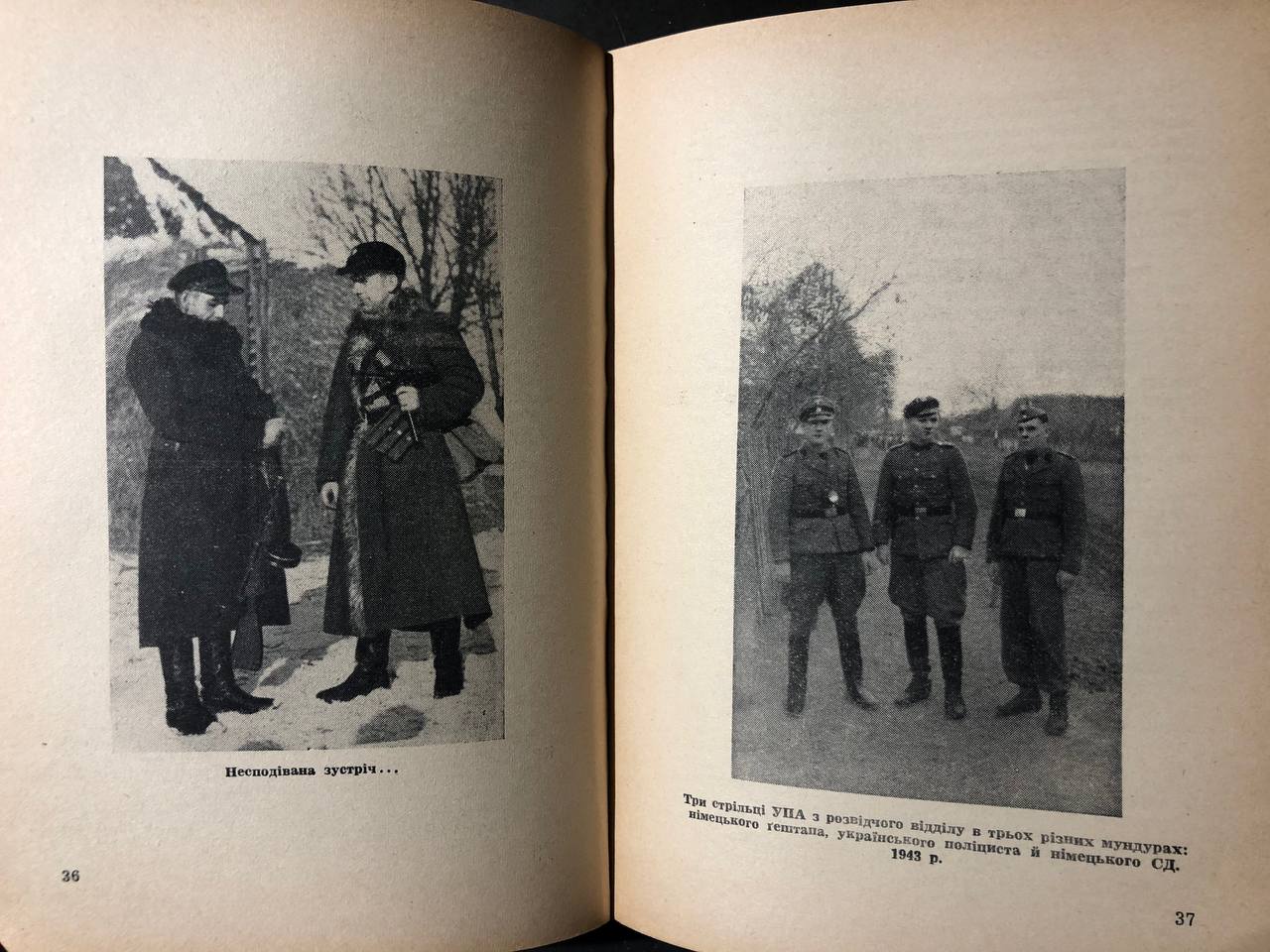 Петро Мірчук, Українська Повстанська Армія, 1942 - 1952