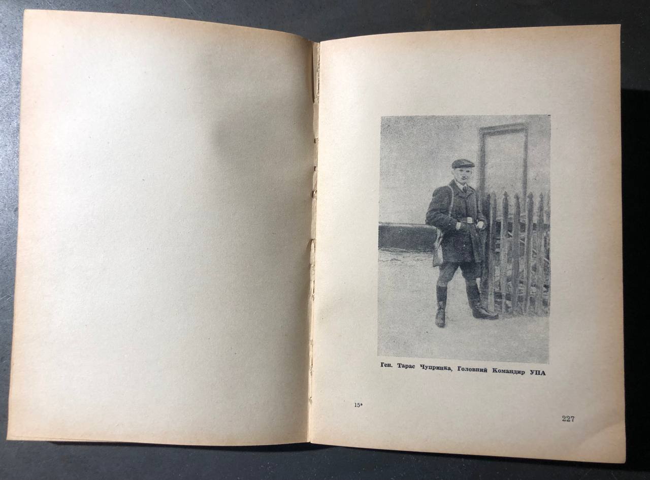 Петро Мірчук, Українська Повстанська Армія, 1942 - 1952