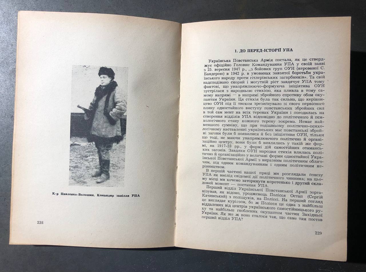 Петро Мірчук, Українська Повстанська Армія, 1942 - 1952